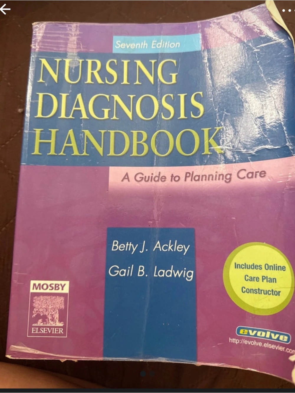 Nursing Diagnosis Handbook - Purple Edition